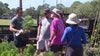 St. Pete holds 2 tree giveaways to regain canopy growth after Hurricane Milton
