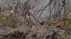 First responders ask residents to heed brush fire warning as most West Florida counties enact burn bans