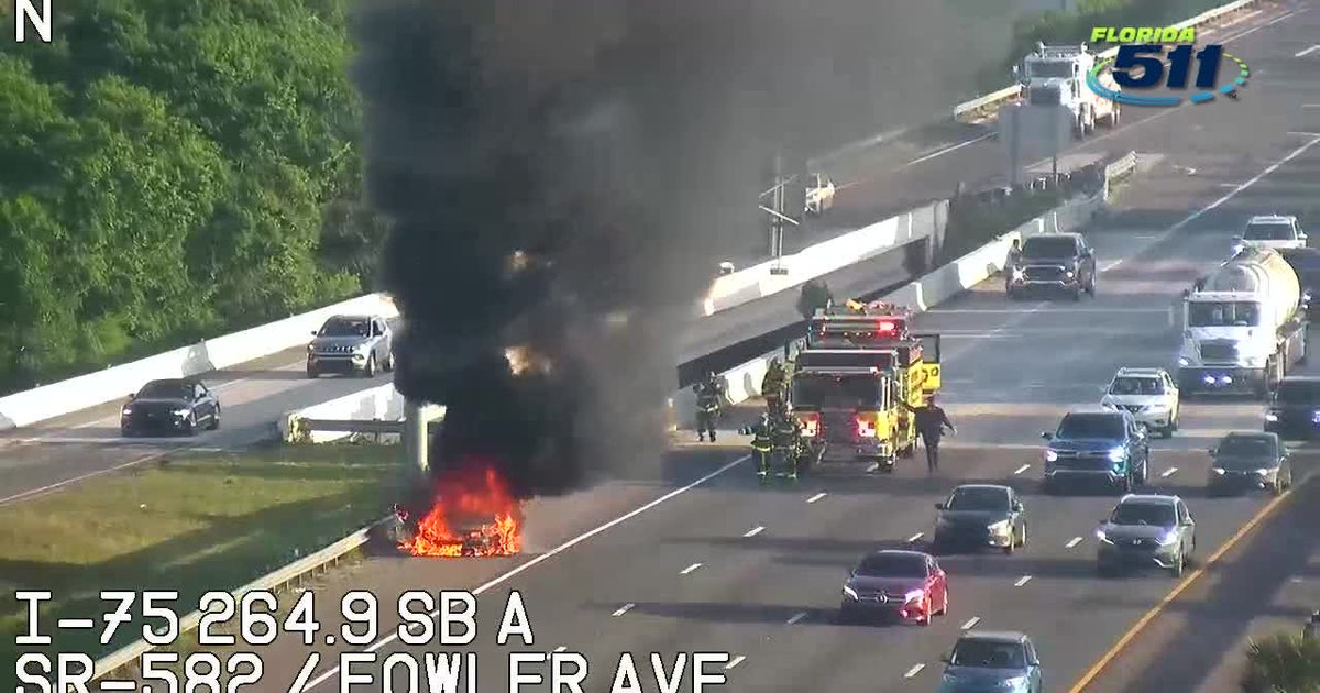Crews battle car fire on I-75 in Hillsborough County | FOX 13