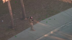 Florida man armed with assault rifle, dressed in tactical gear, shot & killed by deputies: HCSO