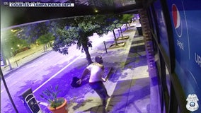 Video: Man throws large stones at business windows, Tampa police searching for suspect