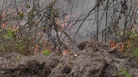 First responders ask residents to heed brush fire warning as most West Florida counties enact burn bans
