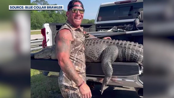 Video: Barefoot Florida man helps capture large gator along busy interstate