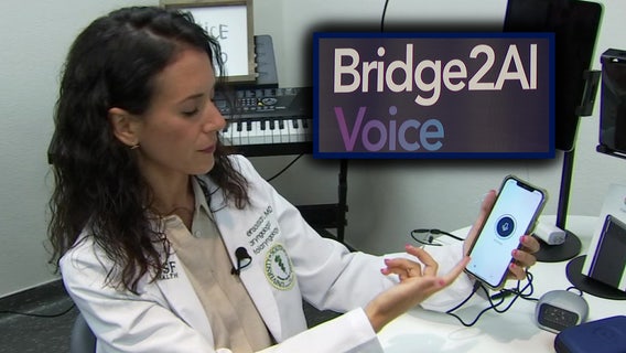 USF doctor enters final year of research to see if AI can detect vocal diseases