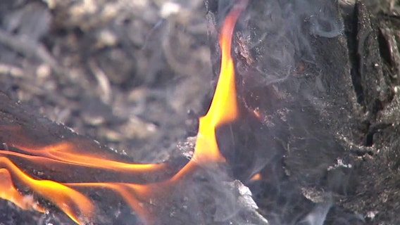 Hillsborough County issues burn ban as warm temperatures, dry conditions pose increased wildfire risk