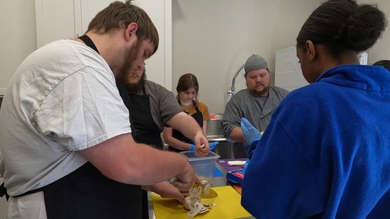 Organization provides lifelong lessons, job opportunities to people with disabilities