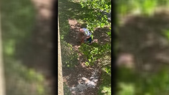 VIDEO: Man attacks child after assuming she had thrown eggs at his apartment, HCSO says