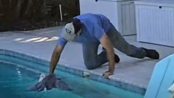 Florida man cited for shooting, killing great blue heron and duck on his property: FWC