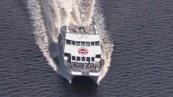Hillsborough leaders vote to end Cross Bay Ferry service early