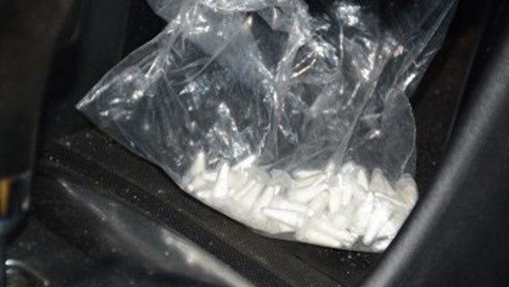 Four arrested after officers bust illegal drug operation in North Tampa