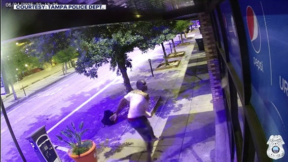 Video: Man throws large stones at business windows, Tampa police searching for suspect