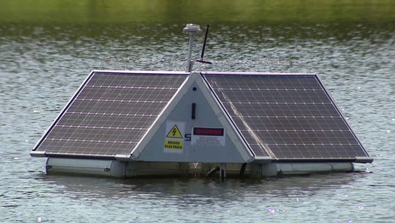 New high-tech buoys in the Hillsborough River aim to kill harmful algae that can kill fish, wildlife