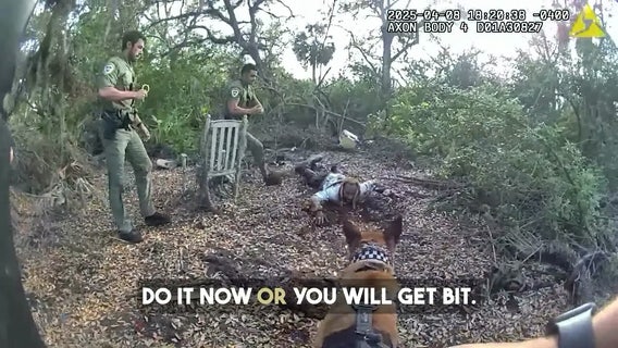 6-time felon wearing clown mask arrested after high-speed chase with deputies: HCSO