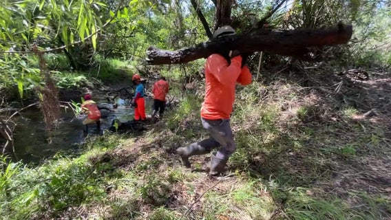 Manatee County working with contractors to clear canals and waterways before 2025's hurricane season