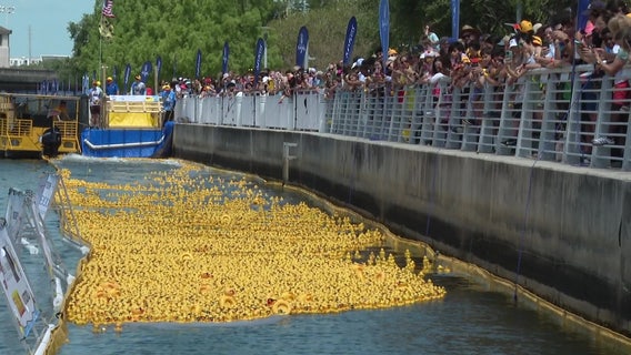 Incredible Duck Race raises money for Kiwanis Club of Tampa