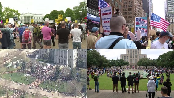 Anti-Trump administration rallies across the Tampa Bay Area