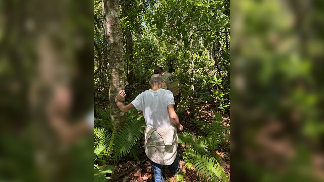 Elderly Florida man rescued after wandering away from nursing home Sunday night: FWC