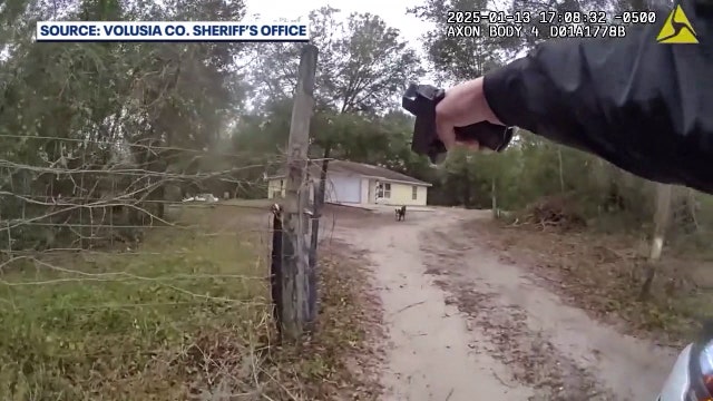 Florida Senate will vote on bill to hold 'dangerous dog' owners accountable