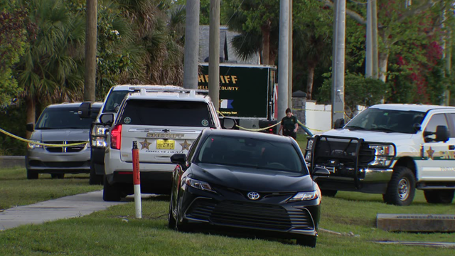 Toddler wanders from home in Palm Harbor, found dead in pond: PCSO