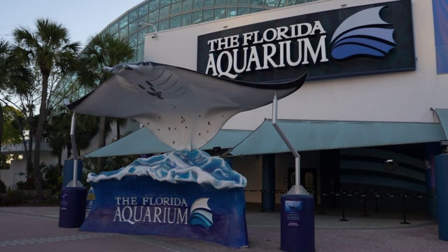 Florida Aquarium nominated for USA Today’s ‘10 Best’ list – Here’s how you can vote