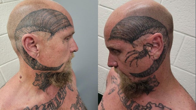 ‘Horned’ suspect accused of trying to break into Florida apartments: MCSO