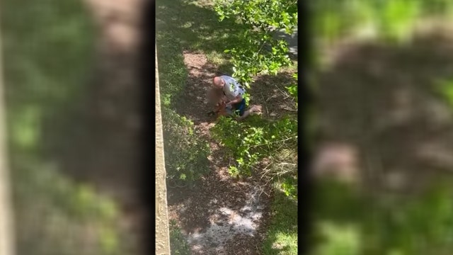 VIDEO: Man attacks child after assuming she had thrown eggs at his apartment, HCSO says