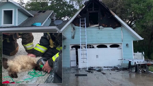 Video: Florida firefighters rescue pet cat from burning home