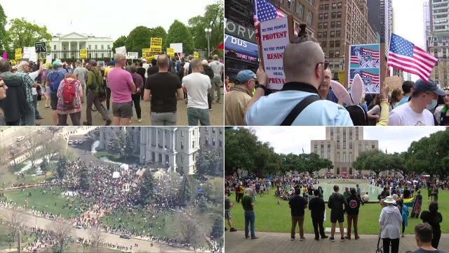 Anti-Trump administration rallies across the Tampa Bay Area