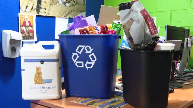 Here's how Hillsborough County is helping businesses decrease their eco-footprint