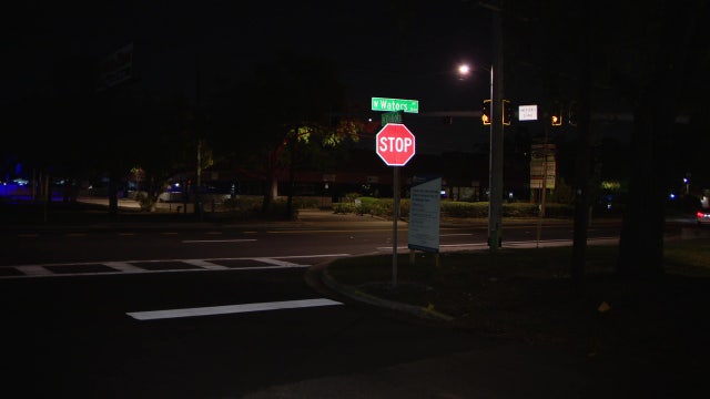 Man hit, killed trying to cross Tampa street: Police