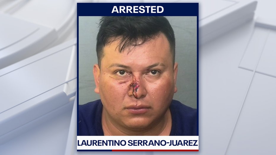 Laurentino Serrano-Juarez mugshot courtesy of the Manatee County Sheriff's Office. 