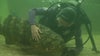 Researching Goliath Grouper at the Tarpon Aquarium