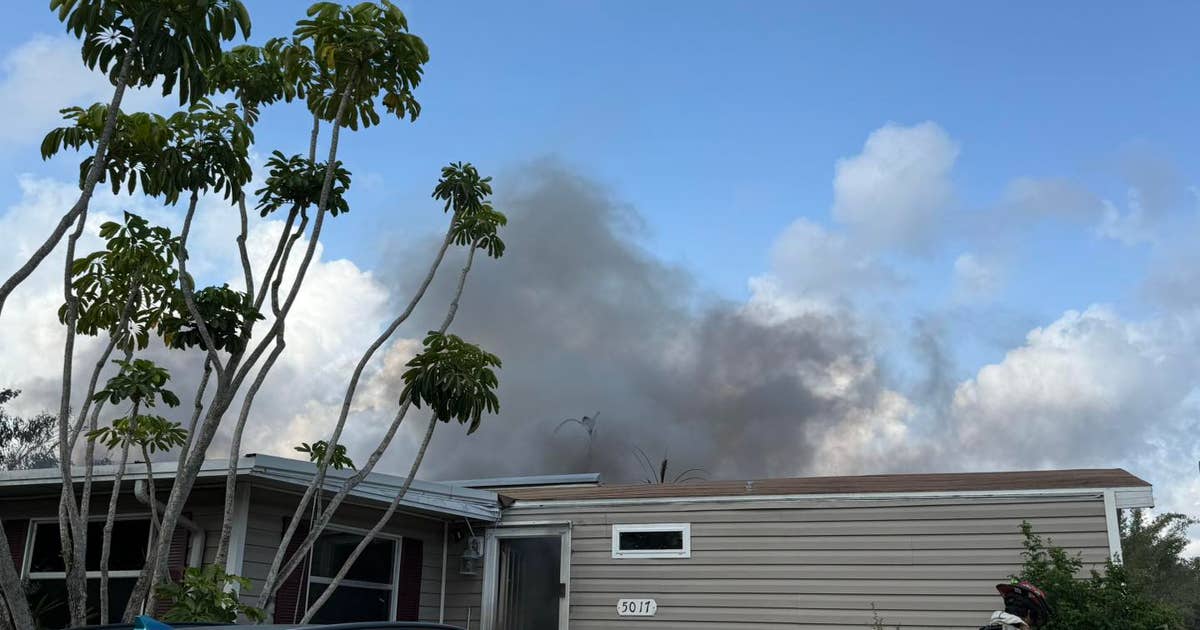 Dozens of animals rescued from fire at Lealman cat rescue | FOX 13 ...
