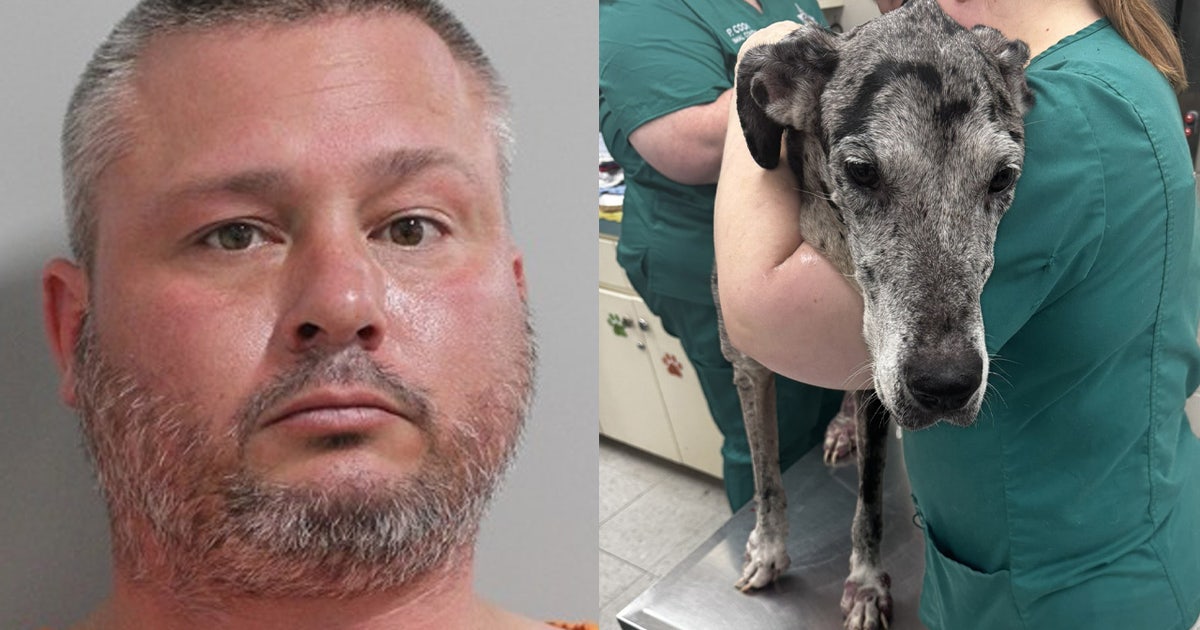 Auburndale’s director of public utilities arrested for animal abuse ...