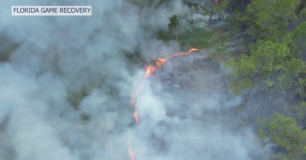 Crews battle more than a dozen fires across Tampa Bay area in the last ...