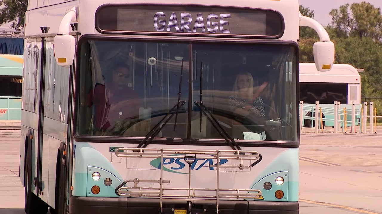 PTSA looking to hire dozens of Pinellas County bus drivers | FOX