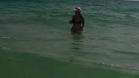 Florida swimmer startled by shark at Panama City Beach: 'You're fine!'