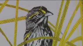 'Rare Air' art exhibit features endangered birds, bats, butterflies & bees