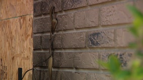Tampa resident says glass flower vase likely caused house fire: ‘Worst fear’