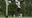 The 'Tiger Woods of India' will compete for USF one last time