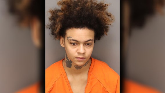 Clearwater woman accused of beating puppy, dousing with pickle juice and hot sauce