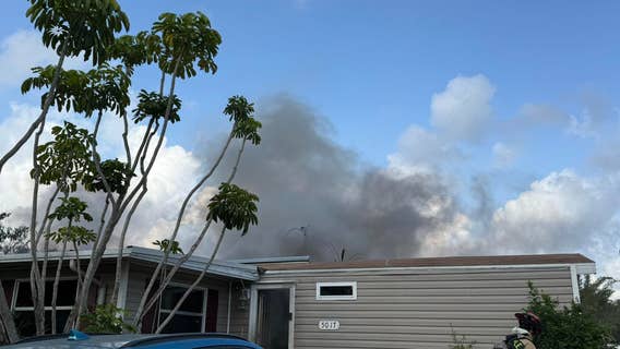 Dozens of animals rescued from fire at Lealman cat rescue