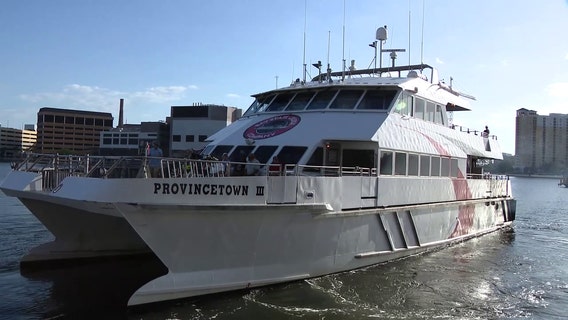Pinellas County could bring Cross Bay Ferry service back by buying two of their own boats