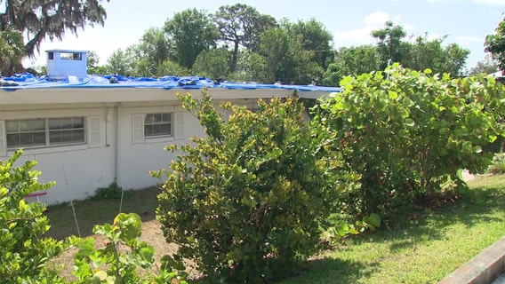 Florida home insurance: Reviewing the impact on state reforms