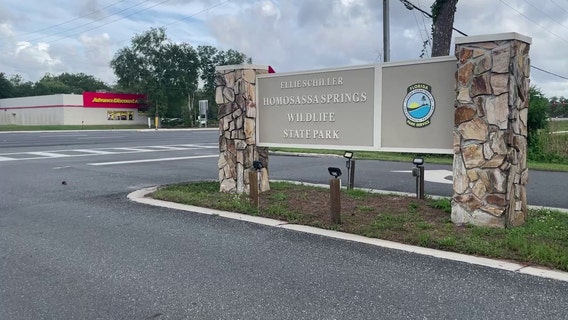 Manatee left unattended before death while employees drained pool at Homosassa state park: Report