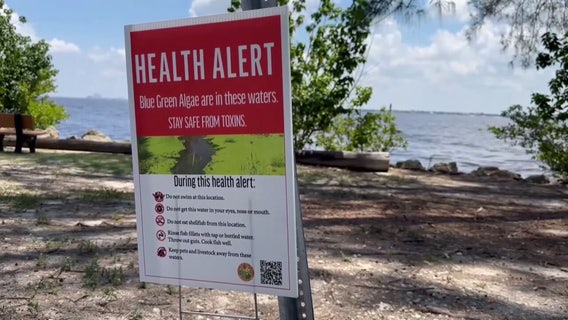 State testing for possible blue-green algae at Lake Crago in Polk County
