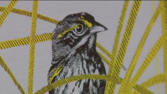 'Rare Air' art exhibit features endangered birds, bats, butterflies & bees