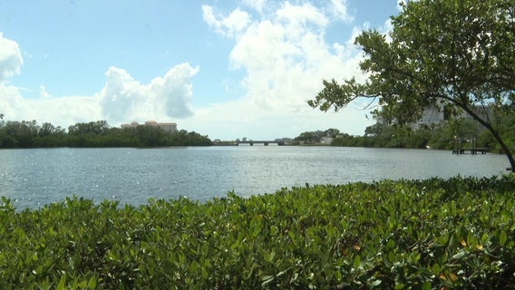 Grassroots group hopes to save Stevenson Creek from development