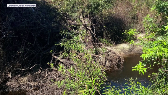 Myakkahatchee Creek clearing could bring some relief from potential flooding in North Port