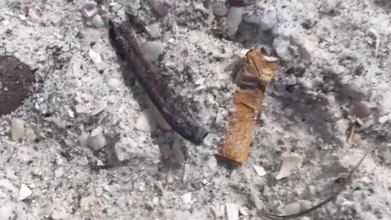 Smoking may be banned on Gulfport beaches